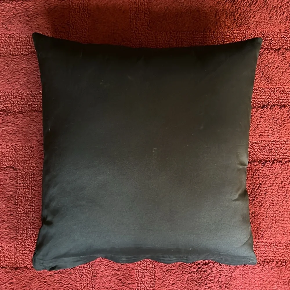 Pier 1 Embroidered 16” Pillow